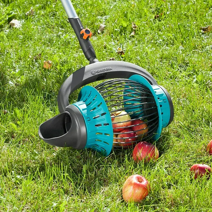 Gardena Combisystem Rollsammler - Mit Stiel, 130 cm - Nahaufnahme eines Gardena Obstsammlers auf einer grünen Wiese, der mit reifen Äpfeln gefüllt ist. Das Gerät erleichtert die Ernte.