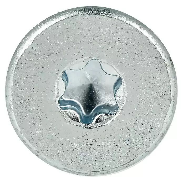 Profi Depot Justierschraube VZ - Durchmesser: 6 mm, Länge: 100 mm, TX für TORX-Antriebe, 100 Stk. - Silberner Metallschraubenkopf mit sternförmigem Torx-Antrieb.