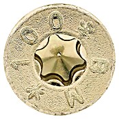 Profi Depot Tornillo para madera TX (Diámetro: 8 mm, Largo: 100 mm, Cabezal avellanado, TX para accionamientos TORX, 50 uds.)