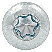 Profi Depot Spanplattenschraube VZ (3 x 20 mm, 200 Stk., Verzinkt, TX für TORX-Antriebe)