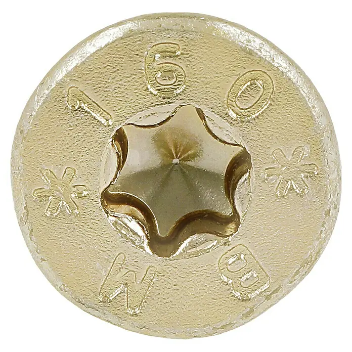 Profi Depot Tornillo para madera TX - Cabezal avellanado, TX para accionamientos TORX, 50 ud., Ø x L: 8 x 160 mm - Primer plano de una cabeza de tornillo Torx dorada, con los dígitos 160 y símbolos de estrella.