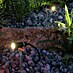 Paulmann Plug & Shine LED-Gartenspot Plantini 