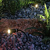 Paulmann Plug & Shine Foco LED de jardín Plantini  (2,5 W, Altura: 22,3 cm, Estaca, 24 V)