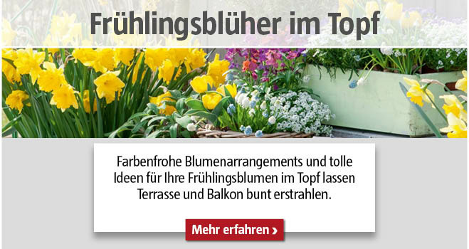 Frühlingsblüher