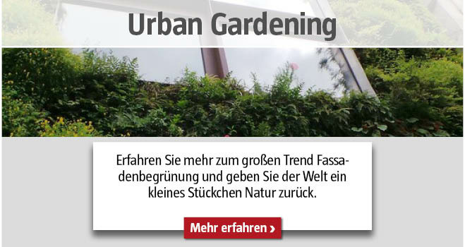 Fassadenbegrünung