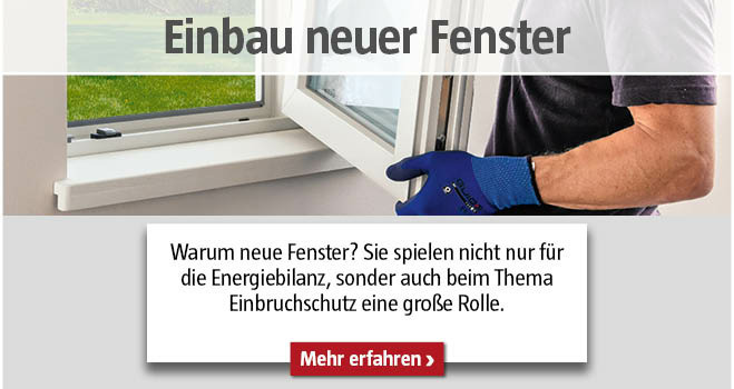 Fenster einbauen