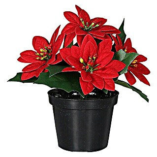 Kunstpflanze Weihnachtsstern (Kunststoff, Durchmesser: 15 cm, Rot)