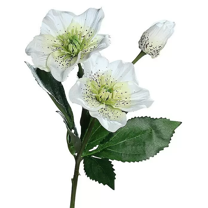 Kunstblume Heleborus - Cremeweiß, 34 cm - Detailaufnahme