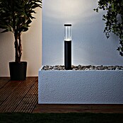 Brilliant Bergen LED-Außensockelleuchte (3,6 W, Ø x H: 10 x 40 cm, Anthrazit, IP44) | BAUHAUS