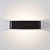 Brilliant LED-Außenwandleuchte Golda (7 W, 13,1 x 22 x 5,5 cm, Schwarz, IP54) | BAUHAUS