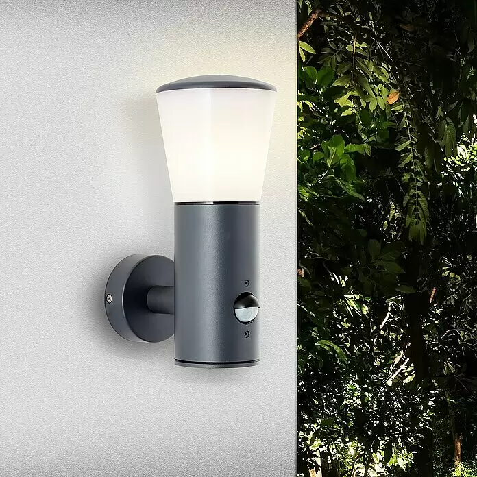 Brilliant Sensor-Außenleuchte Cliffi - 20 W, 16 x 10,5 x 24 cm, Anthrazit, IP44 - Dunkelgraue Außenwandleuchte mit weißem Diffusor und Bewegungsmelder, an einer Wand montiert, beleuchtet nachts Blattwerk.