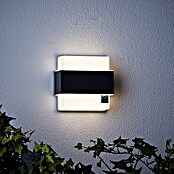 Brilliant LED-Außenwandleuchte Archie (7 W, L x B x H: 7 x 14,5 x 15 cm, Anthrazit, Neutralweiß) | BAUHAUS