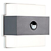 Brilliant LED-Sensor-Außenwandleuchte Archie (7,5 W, L x B x H: 7 x 14,5 x 15 cm, Anthrazit, Neutralweiß) | BAUHAUS