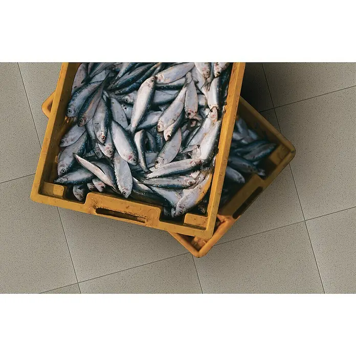 Feinsteinzeugfliese Acapulco - 30 x 30 cm, Grau, Matt - Zwei gelbe Kisten gefüllt mit frischen Sardinen. Ideal für Fischliebhaber und ein gesundes Gericht.