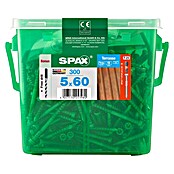 Spax T-Star plus Terrassenschraube Stufenbohrer (Ø x L: 5 x 60 mm, Edelstahl rostfrei A2, 300 Stk.) | BAUHAUS