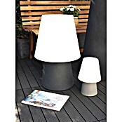 8 Seasons Design No. 1 LED-Solar-Dekoleuchte (Anthrazit, L x B x H: 39 x 39 x 60 cm)