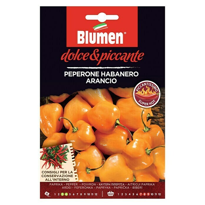 Piment Habanero Arancio