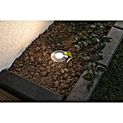 Paulmann Plug & Shine Set vrtnih LED spot svjetala (3 x 2,5 W, 24 V, IP65, Visina: 90 mm)