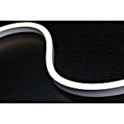 Paulmann Plug & Shine LED trak  (5 m, Toplo bela) | Svetilke za osvetlitev poti | Zunanja svetila | Elektro in svetila | Izdelki | BAUHAUS