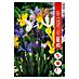 Royal De Ree Holland Voorjaarsbloembollenmix Iris 'Hollandica' 