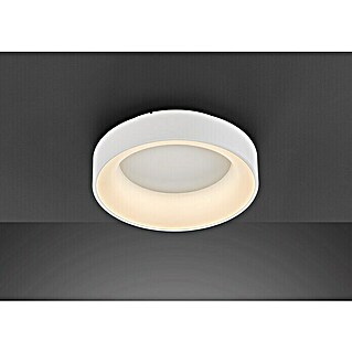 WOFI LED-Deckenleuchte rund Cameron (26 W, Ø x H: 45 x 11,5 cm, Weiß, RGB)