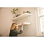 Ryobi Kreuzlinienlaser RBCLLG1 (Max. Arbeitsbereich: 15 m) | BAUHAUS