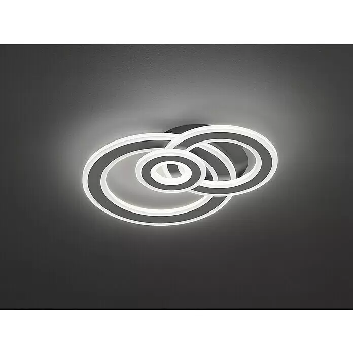 WOFI LED-Deckenleuchte - 24,5 W, L x B x H: 47,5 x 36 x 7 cm, Dunkelgrau, Warmweiß - Moderne LED-Deckenleuchte mit überlappenden Kreisringen in Weiß und Dunkelgrau, beleuchtet.
