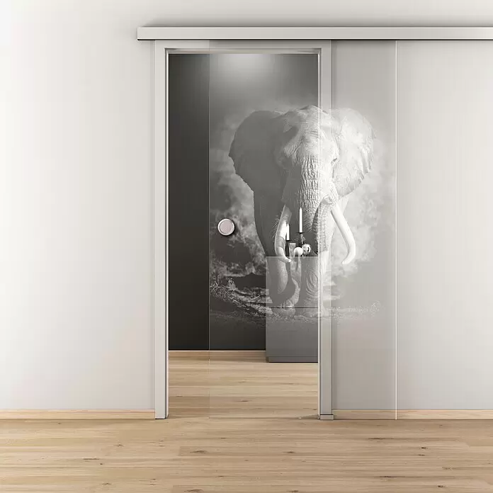 Diamond Doors Glasschiebetür 613 - 935 x 2.058 mm, Einscheibensicherheitsglas (ESG), Klarglas - Glasschiebetürsystem mit klaren und mattierten Paneelen, dahinter ein Elefantenbild.