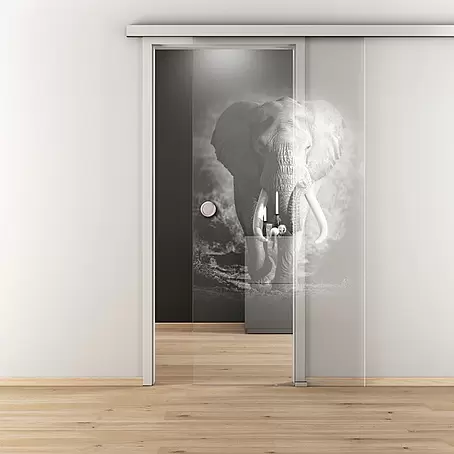 Diamond Doors  Glasschiebetür 613