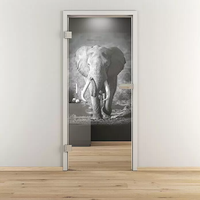 Diamond Doors Glasdrehtür 613 - 709 x 1.972 mm, DIN Anschlag: Links, Einscheibensicherheitsglas (ESG) - Stimmungsaufnahme