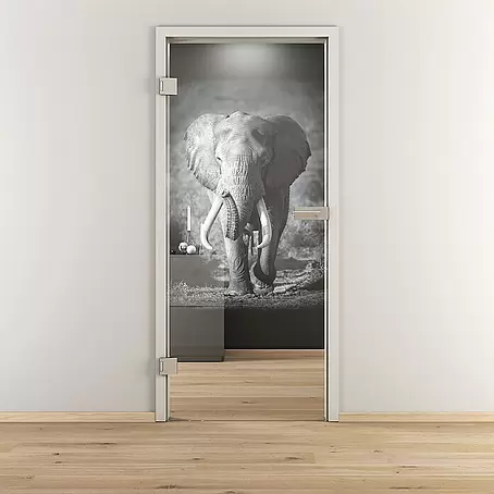 Diamond Doors  Glasdrehtür 613
