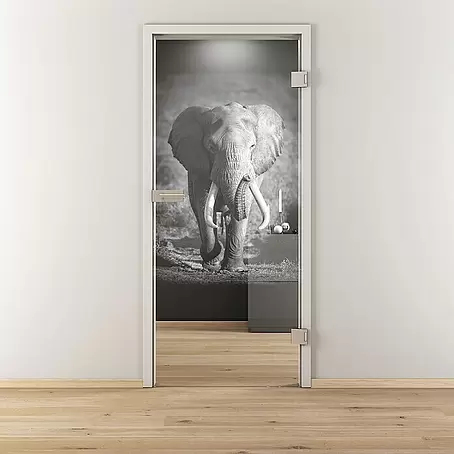 Diamond Doors  Glasdrehtür 613