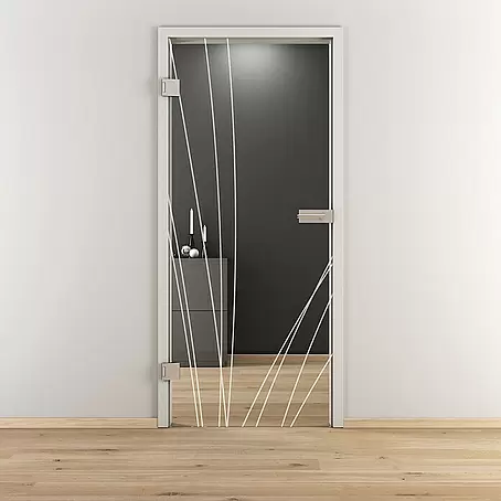 Diamond Doors  Glasdrehtür 559