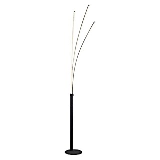 Lámpara de pie LED Maja (21 W, Altura: 215 cm, Negro, Blanco cálido)