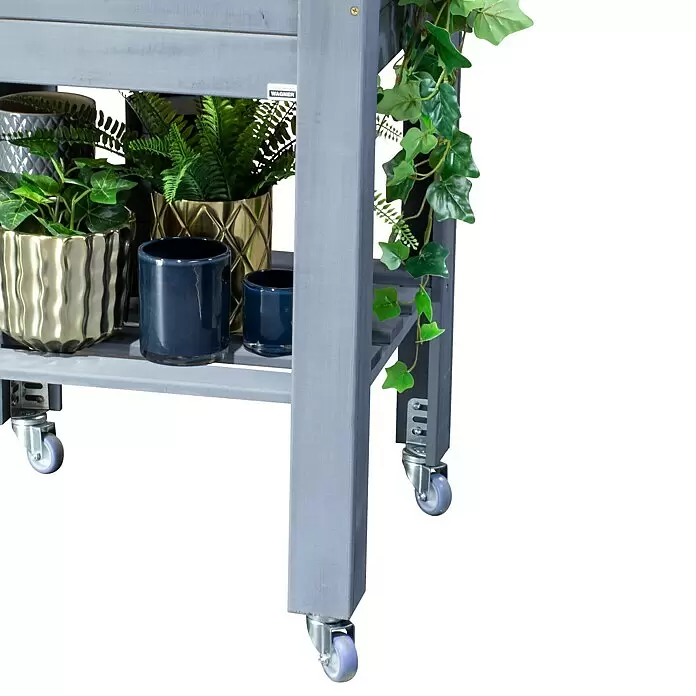 Wagner System GreenFamily Apparate-Lenkrolle GH 3150 - Durchmesser: 5 cm, 4 Stk. - Grauer Pflanzenständer aus Holz auf Rollen, der verschiedene grüne Pflanzen in dekorativen Töpfen präsentiert.