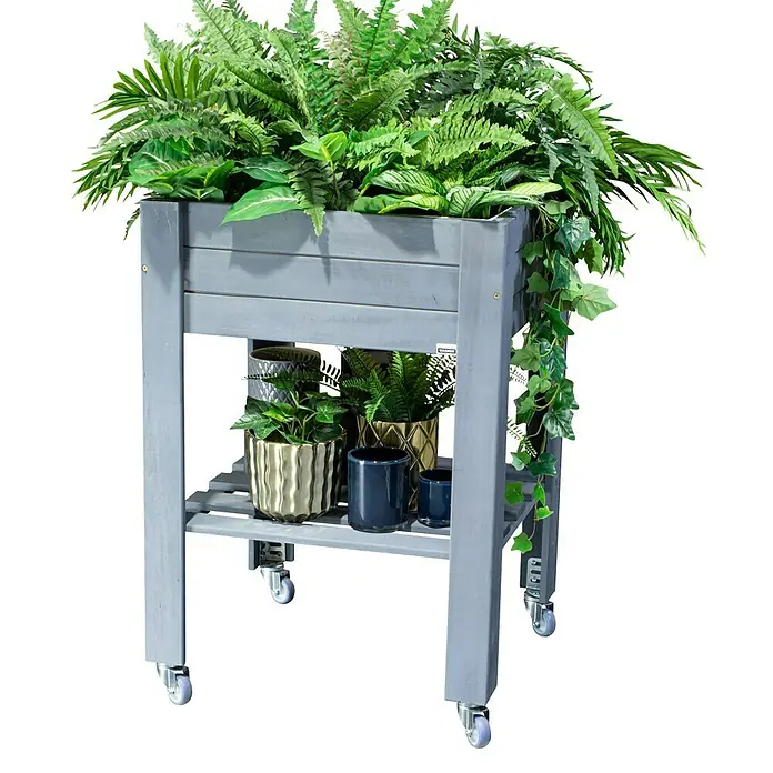 Wagner System GreenFamily Apparate-Lenkrolle GH 3150 - Durchmesser: 5 cm, 4 Stk. - Grauer Pflanzenständer aus Holz mit Rollen, gefüllt mit üppigem Grün und Pflanzen in dekorativen Töpfen. Ideal für Innen- und Außenbereiche.