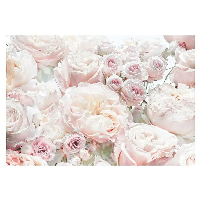 Komar Fototapete Spring Roses - 8 -tlg., B x H: 368 x 254 cm, Papier - Zartrosa Rosenblüten in einem Bouquet. Die sanften Farbtöne und die Detailgenauigkeit machen es zu einem Blickfang.