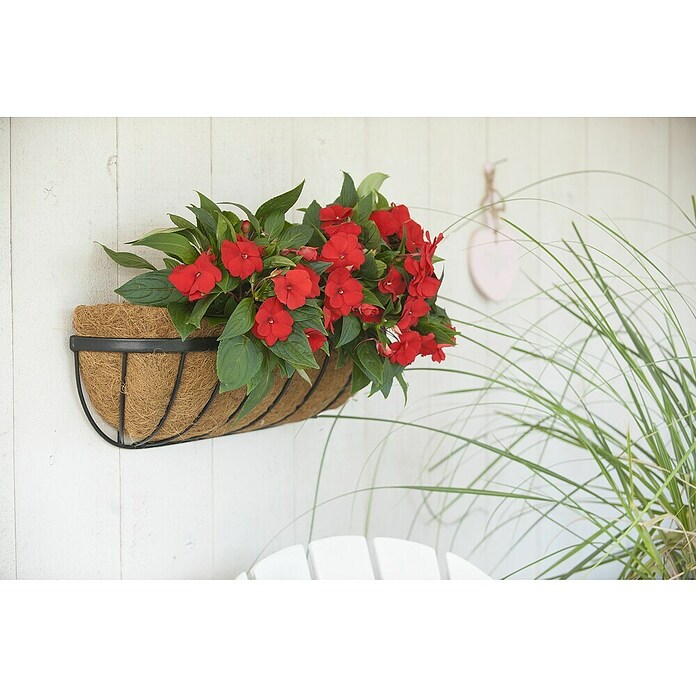Nature Plantenpotten-inzet kokos (Ovaal, Passend bij: Hanging basket) | BAUHAUS