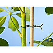 Nature Binddraad (Diameter: 0,6 mm, Lengte: 50 m, Groen) | BAUHAUS