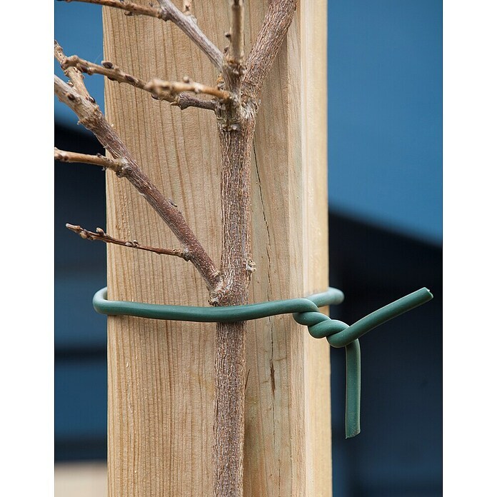 Nature Boomband (5 m, Groen) | BAUHAUS