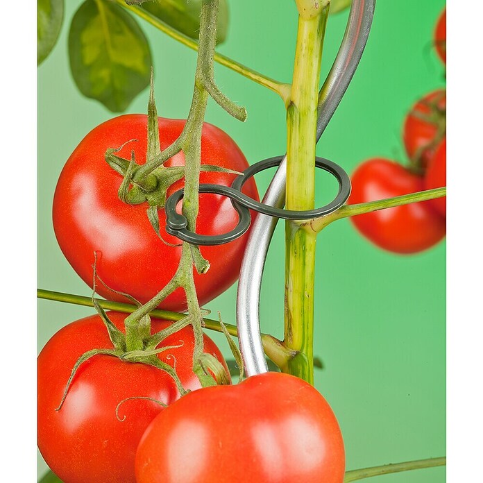 Nature Plantenbinders dubbelring (25 st., Groen) | BAUHAUS