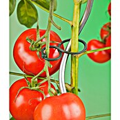 Nature Plantenbinders dubbelring (25 st., Groen) | BAUHAUS