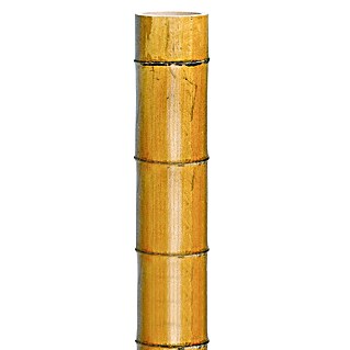 Nature Bamboestok Decora (Ø x l: 100 mm x 300 cm)