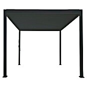 Weide Pavillon Classic (L x B 4 x 3 m, Anthrazit) BAUHAUS