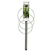 Nature Plantensteun (60 cm, Staal) | BAUHAUS