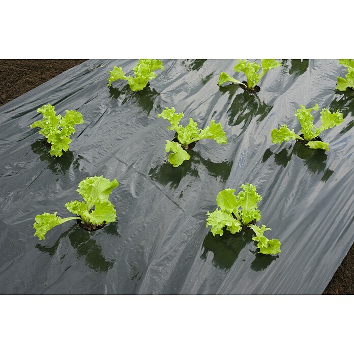 Nature Kweekfolie sla (0,95 x 5 m, Zwart) | BAUHAUS