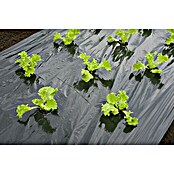 Nature Kweekfolie sla (0,95 x 5 m, Zwart) | BAUHAUS