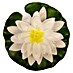 Ubbink Decoratief artikel Waterlelie 