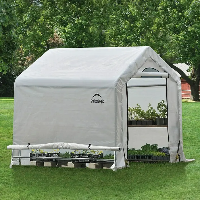 ShelterLogic Gewächshaus - Außenmaß inkl. Dachüberstand (B x T): 180 x 180 cm, Grau, Grundfläche: 3,24 m² - Ein ShelterLogic Gewächshaus im Garten, mit Regalen voller Setzlinge. Ideal für Hobbygärtner, um Pflanzen vor Witterungseinflüssen zu schützen.