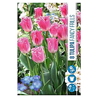 Royal De Ree Holland Voorjaarsbloembollen Tulipa 'Fancy Frills' (8 st.)